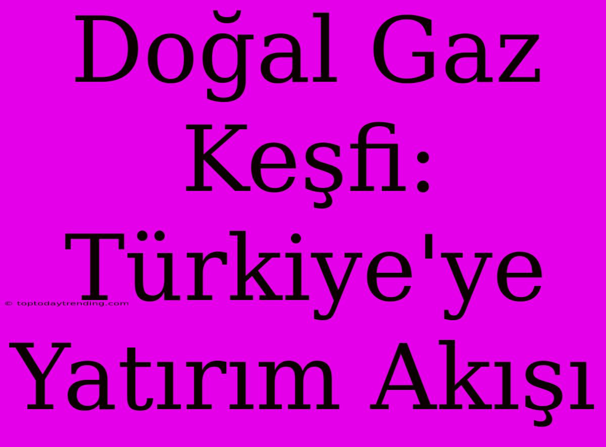 Doğal Gaz Keşfi: Türkiye'ye Yatırım Akışı