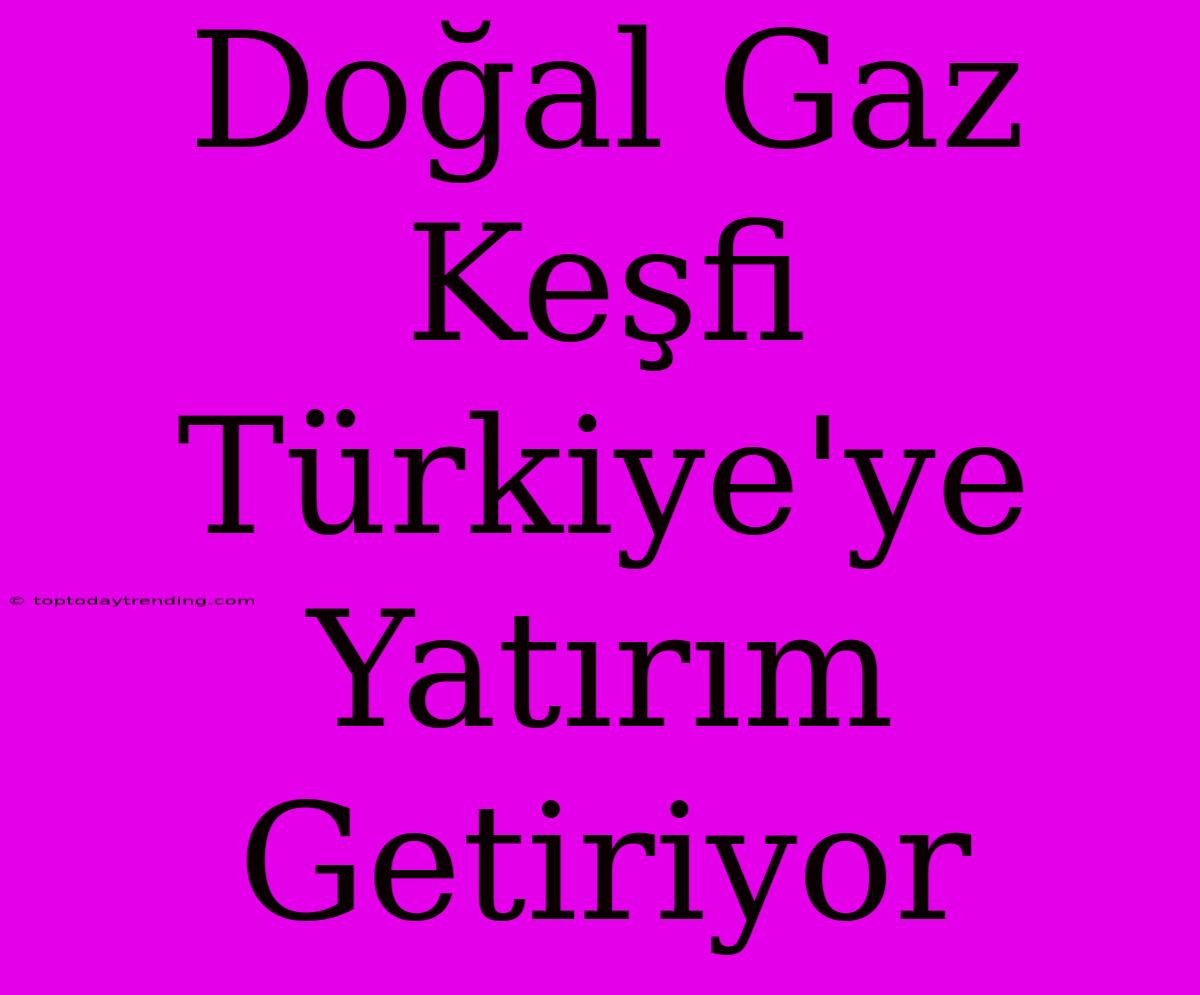 Doğal Gaz Keşfi Türkiye'ye Yatırım Getiriyor