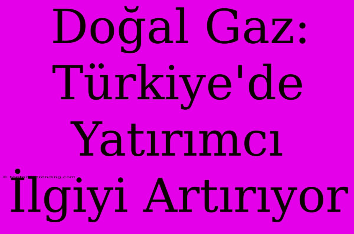 Doğal Gaz: Türkiye'de Yatırımcı İlgiyi Artırıyor