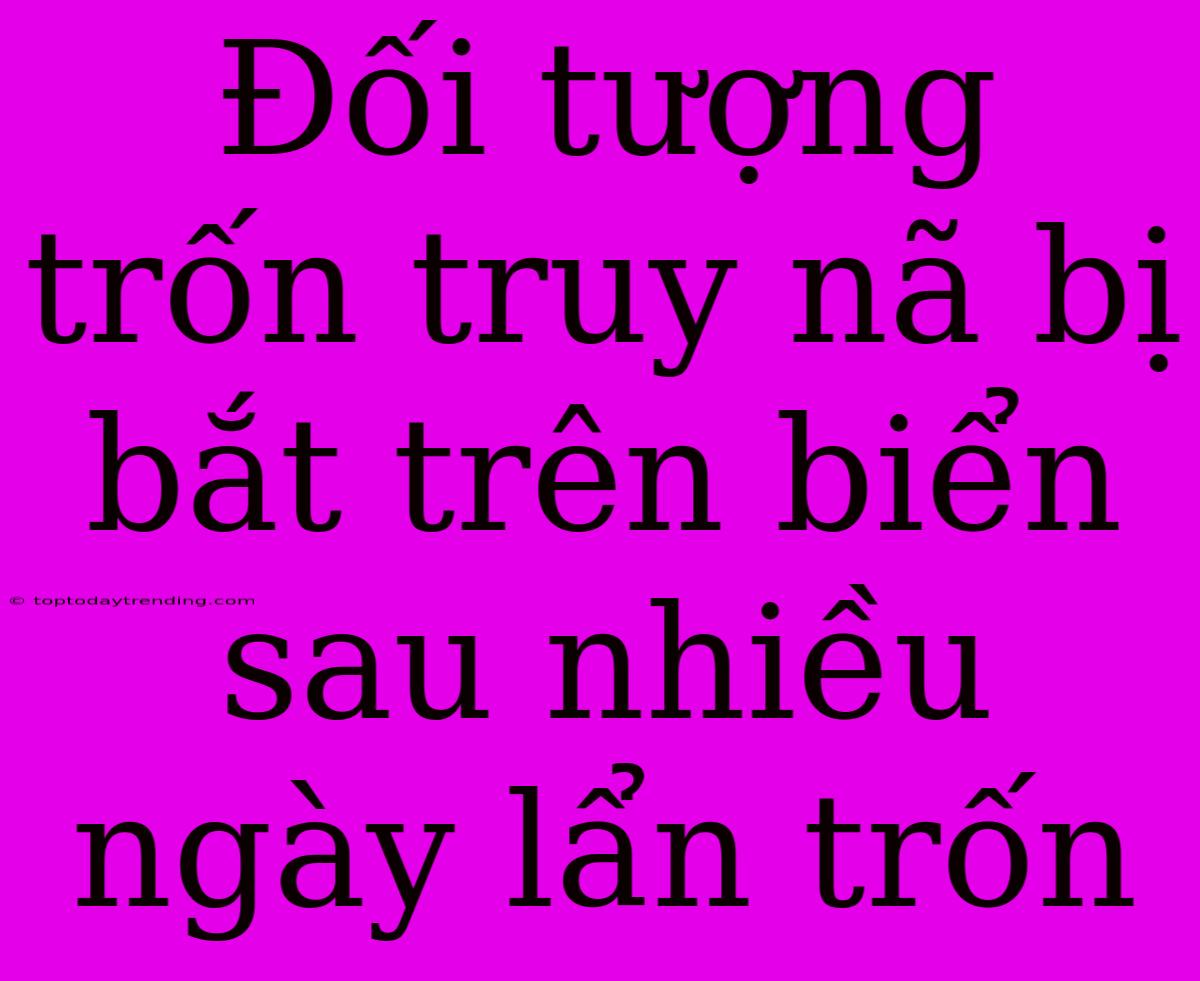 Đối Tượng Trốn Truy Nã Bị Bắt Trên Biển Sau Nhiều Ngày Lẩn Trốn