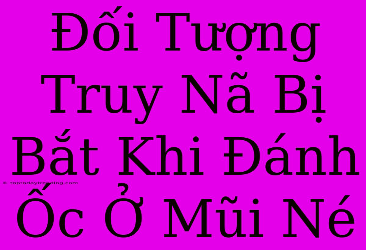 Đối Tượng Truy Nã Bị Bắt Khi Đánh Ốc Ở Mũi Né