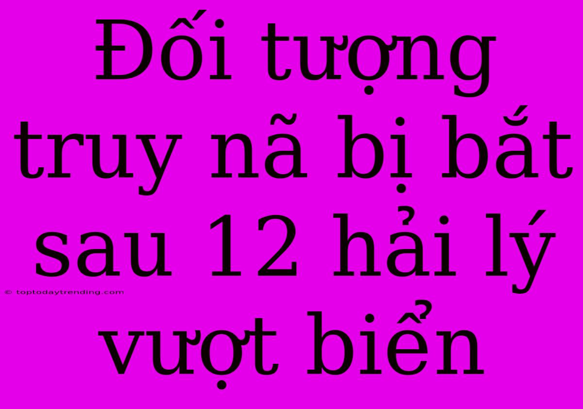 Đối Tượng Truy Nã Bị Bắt Sau 12 Hải Lý Vượt Biển