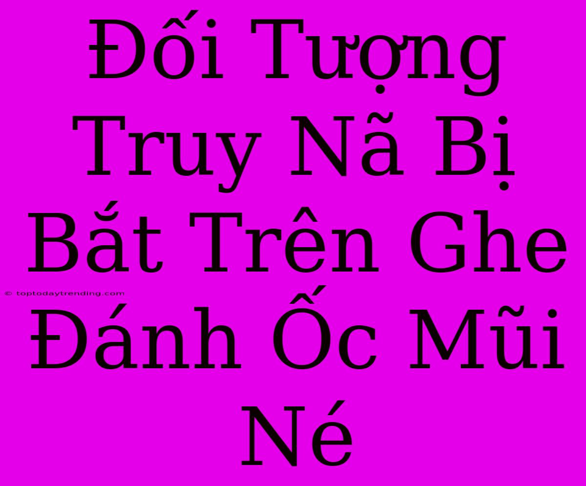 Đối Tượng Truy Nã Bị Bắt Trên Ghe Đánh Ốc Mũi Né