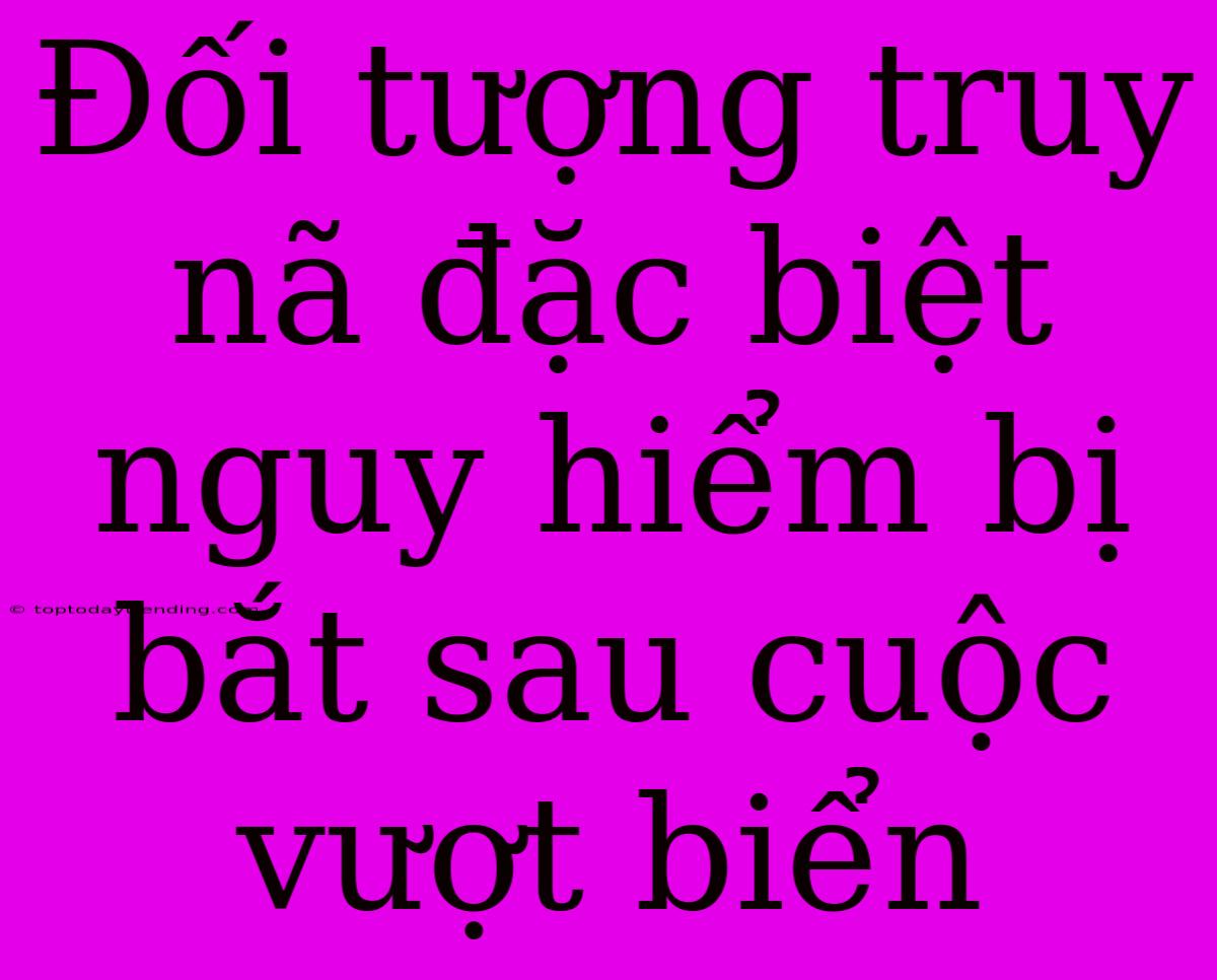 Đối Tượng Truy Nã Đặc Biệt Nguy Hiểm Bị Bắt Sau Cuộc Vượt Biển