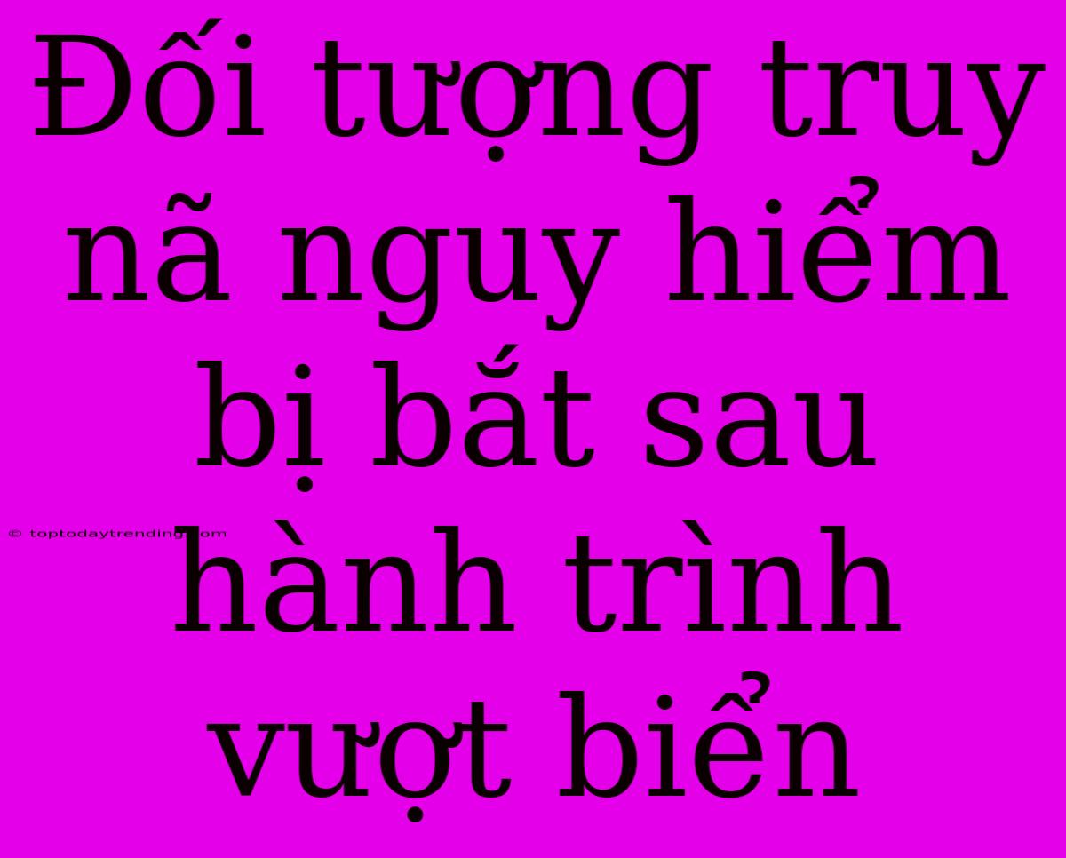 Đối Tượng Truy Nã Nguy Hiểm Bị Bắt Sau Hành Trình Vượt Biển