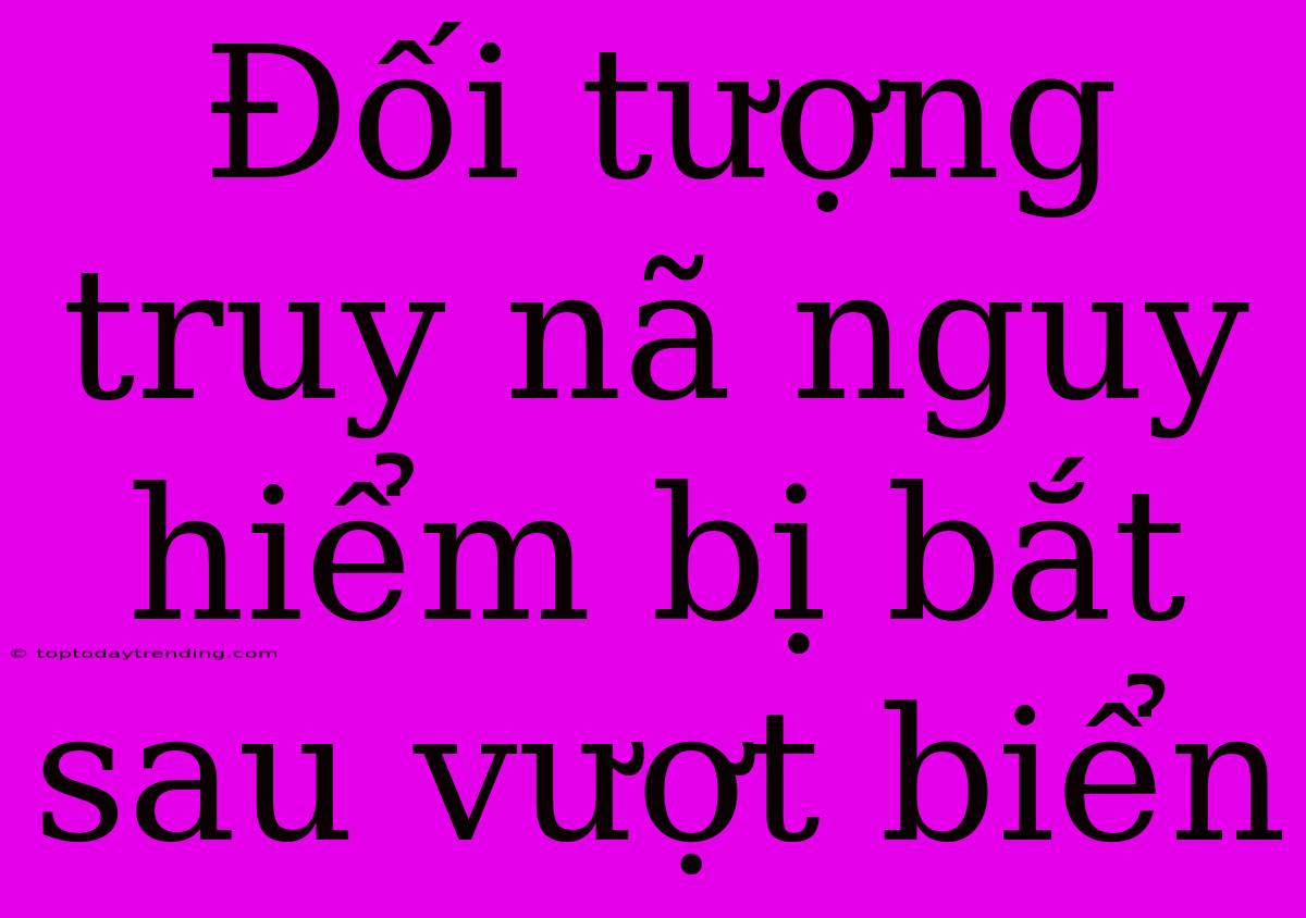 Đối Tượng Truy Nã Nguy Hiểm Bị Bắt Sau Vượt Biển