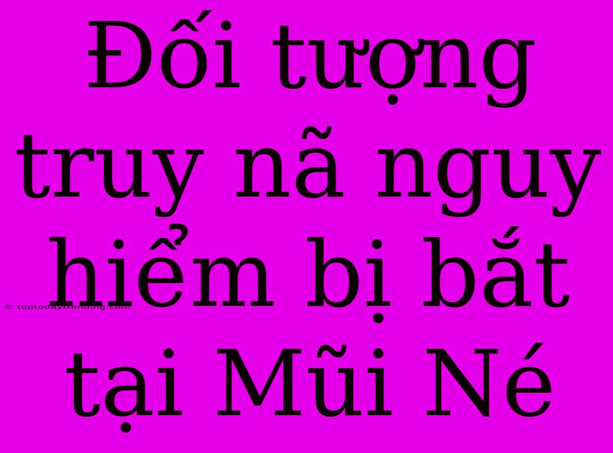 Đối Tượng Truy Nã Nguy Hiểm Bị Bắt Tại Mũi Né