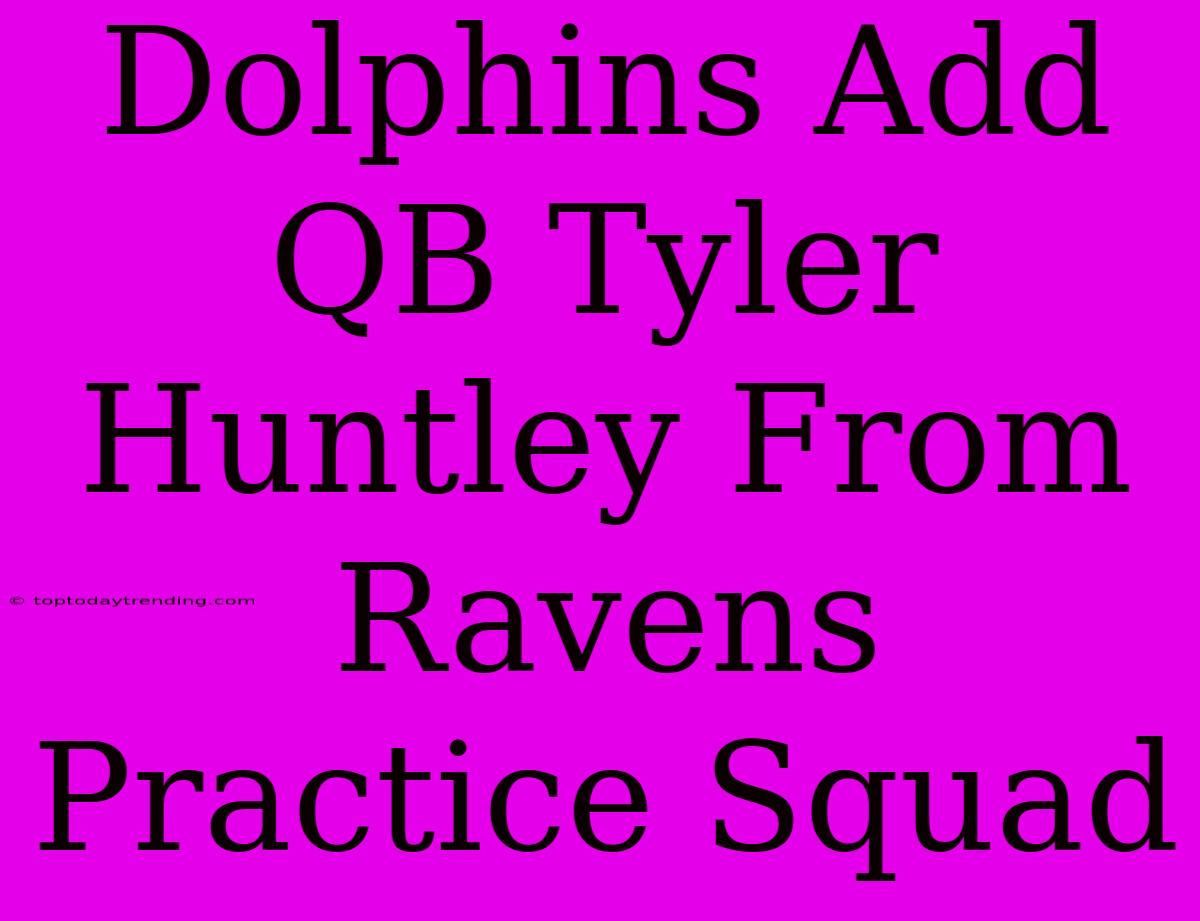 Dolphins Add QB Tyler Huntley From Ravens Practice Squad