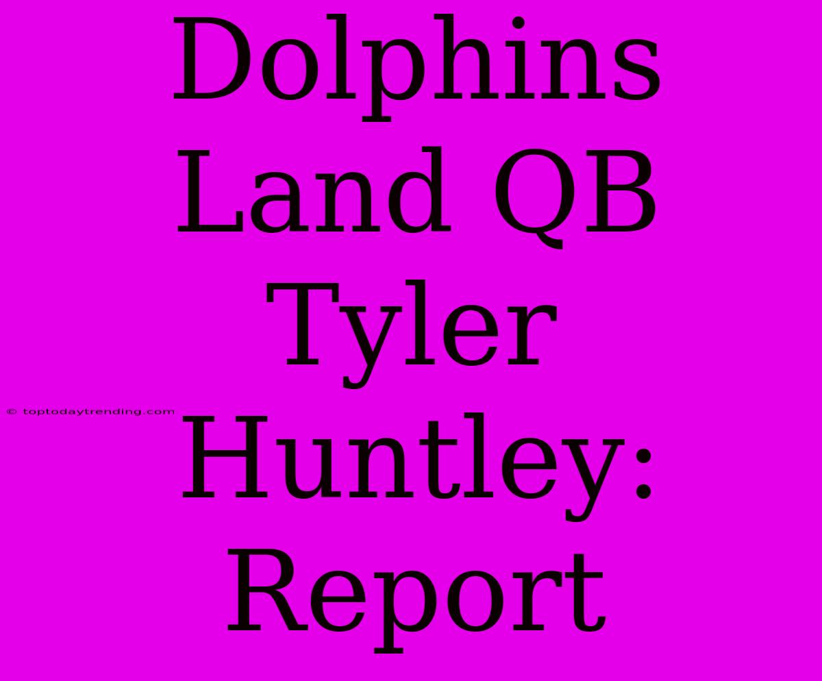 Dolphins Land QB Tyler Huntley: Report