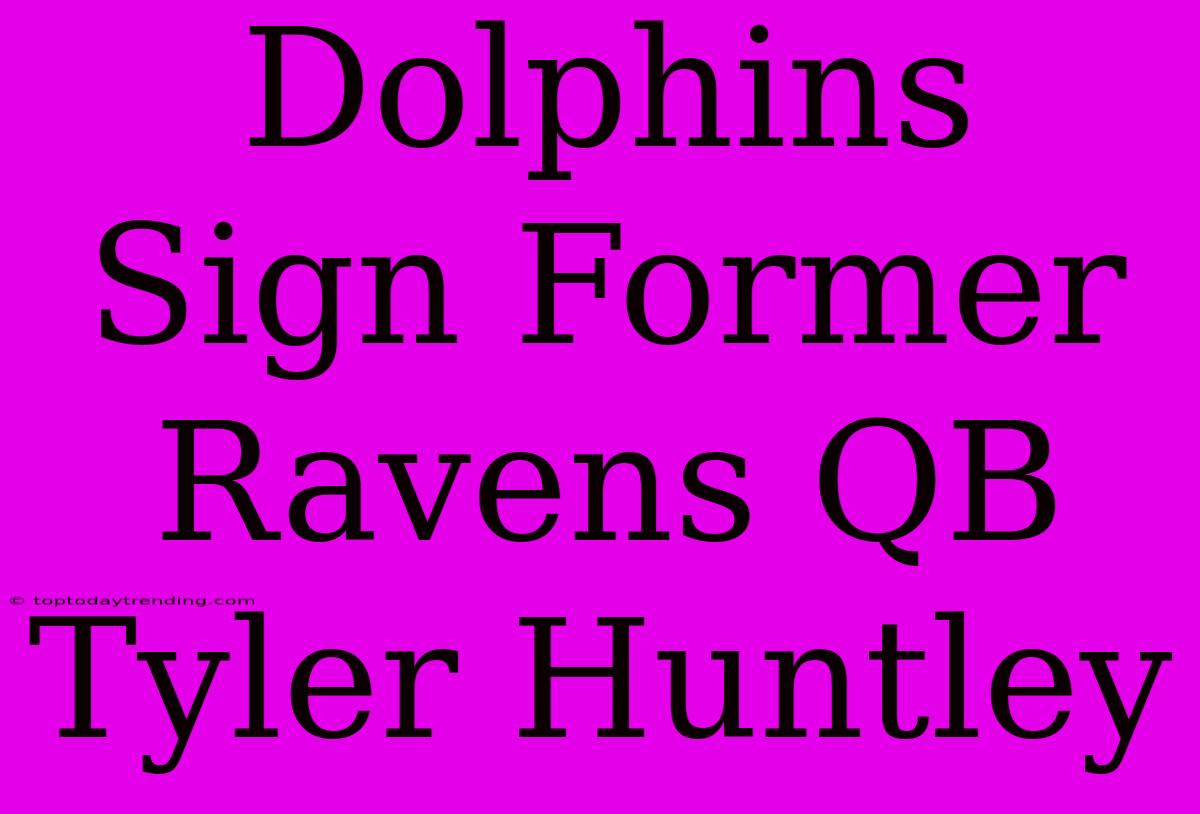 Dolphins Sign Former Ravens QB Tyler Huntley