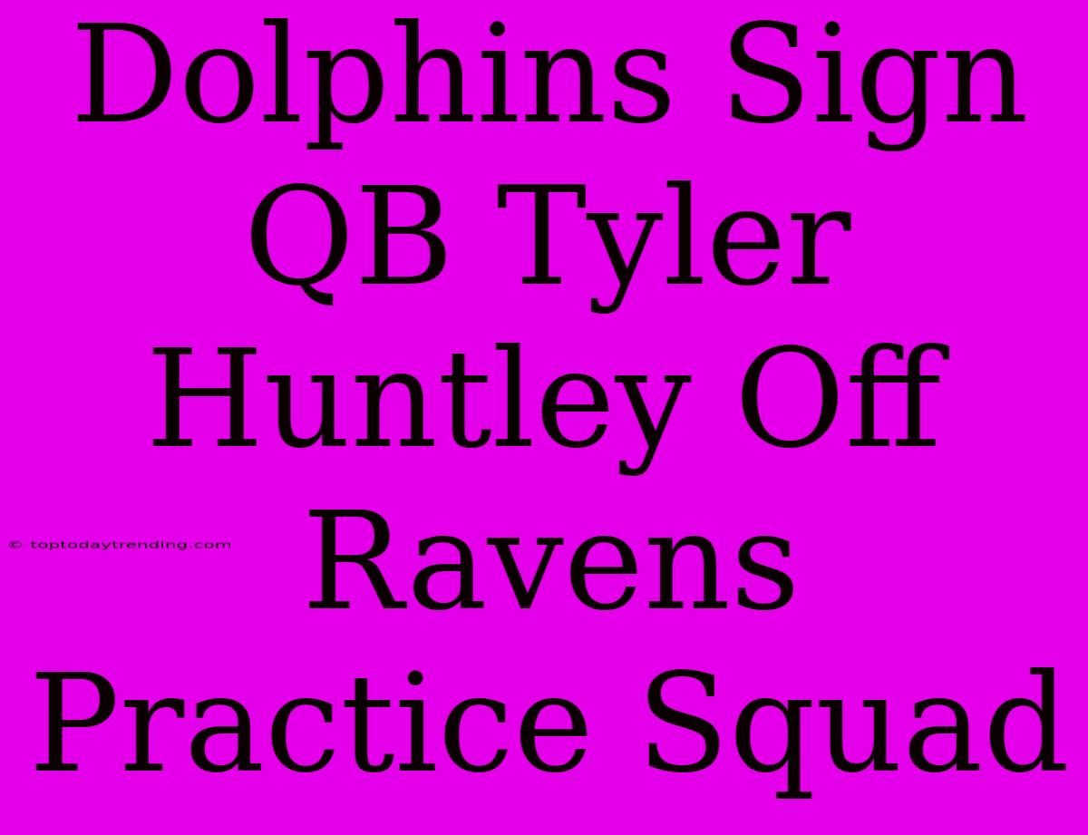 Dolphins Sign QB Tyler Huntley Off Ravens Practice Squad