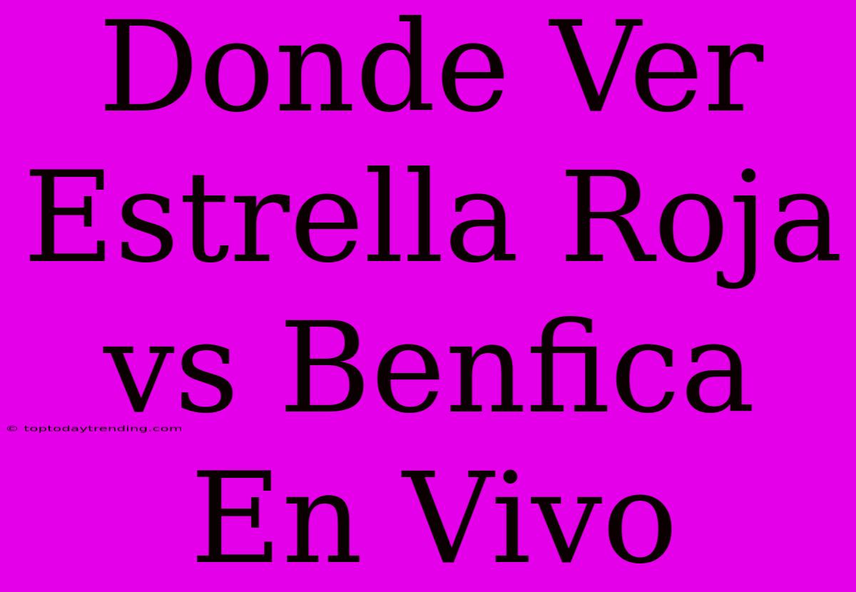 Donde Ver Estrella Roja Vs Benfica En Vivo