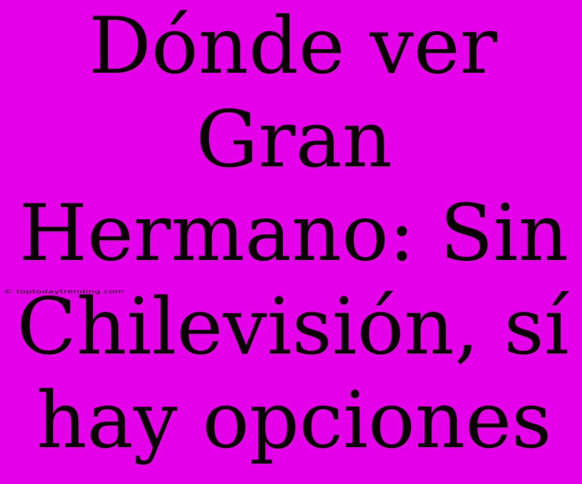 Dónde Ver Gran Hermano: Sin Chilevisión, Sí Hay Opciones