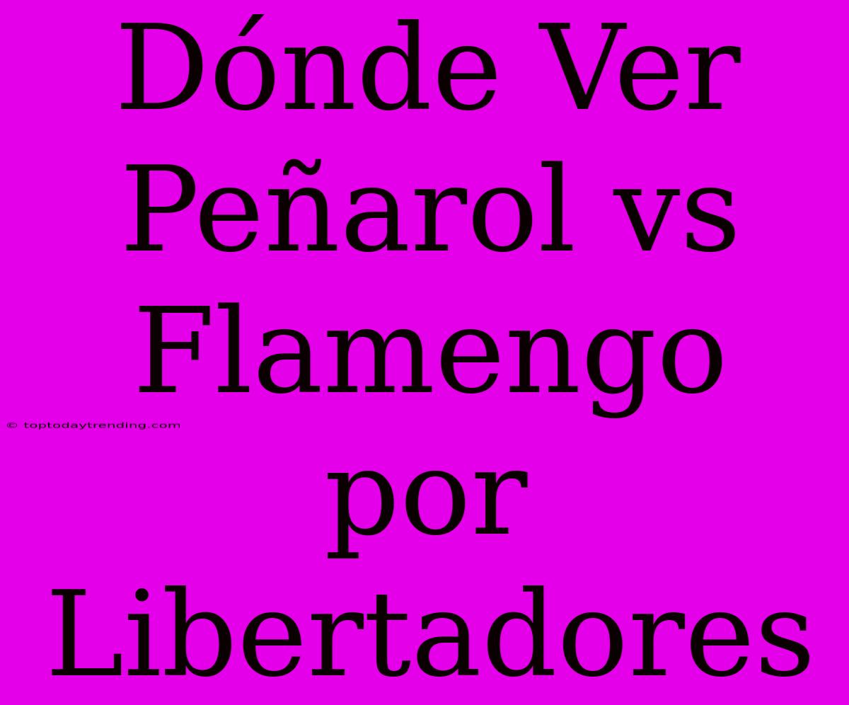 Dónde Ver Peñarol Vs Flamengo Por Libertadores