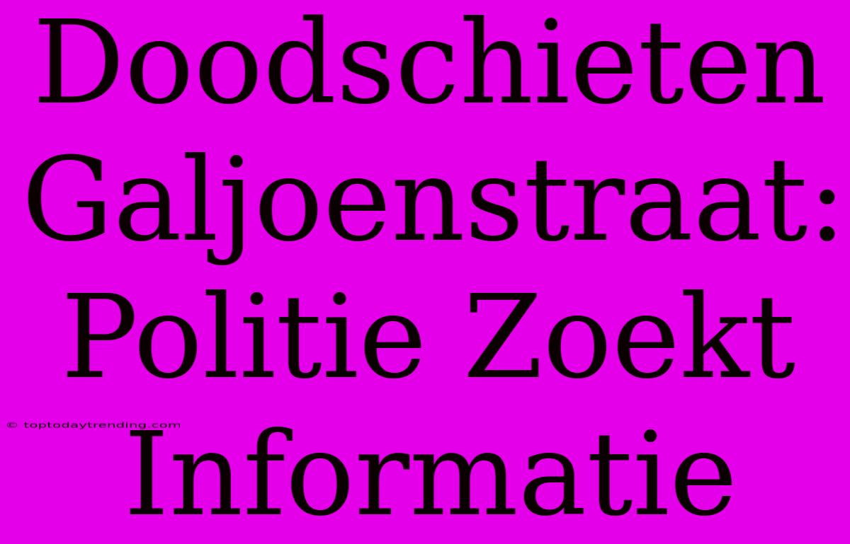 Doodschieten Galjoenstraat: Politie Zoekt Informatie