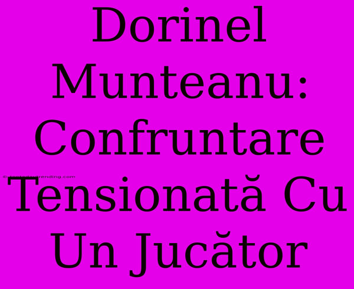 Dorinel Munteanu: Confruntare Tensionată Cu Un Jucător