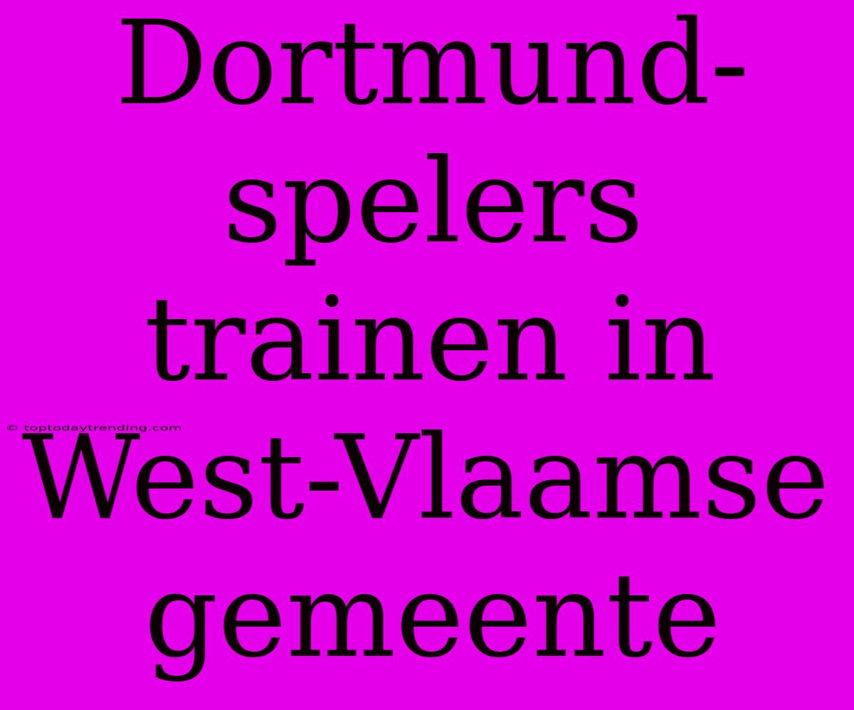 Dortmund-spelers Trainen In West-Vlaamse Gemeente