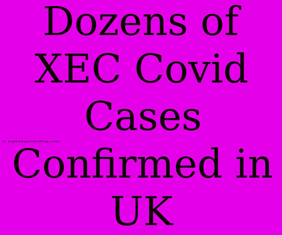 Dozens Of XEC Covid Cases Confirmed In UK