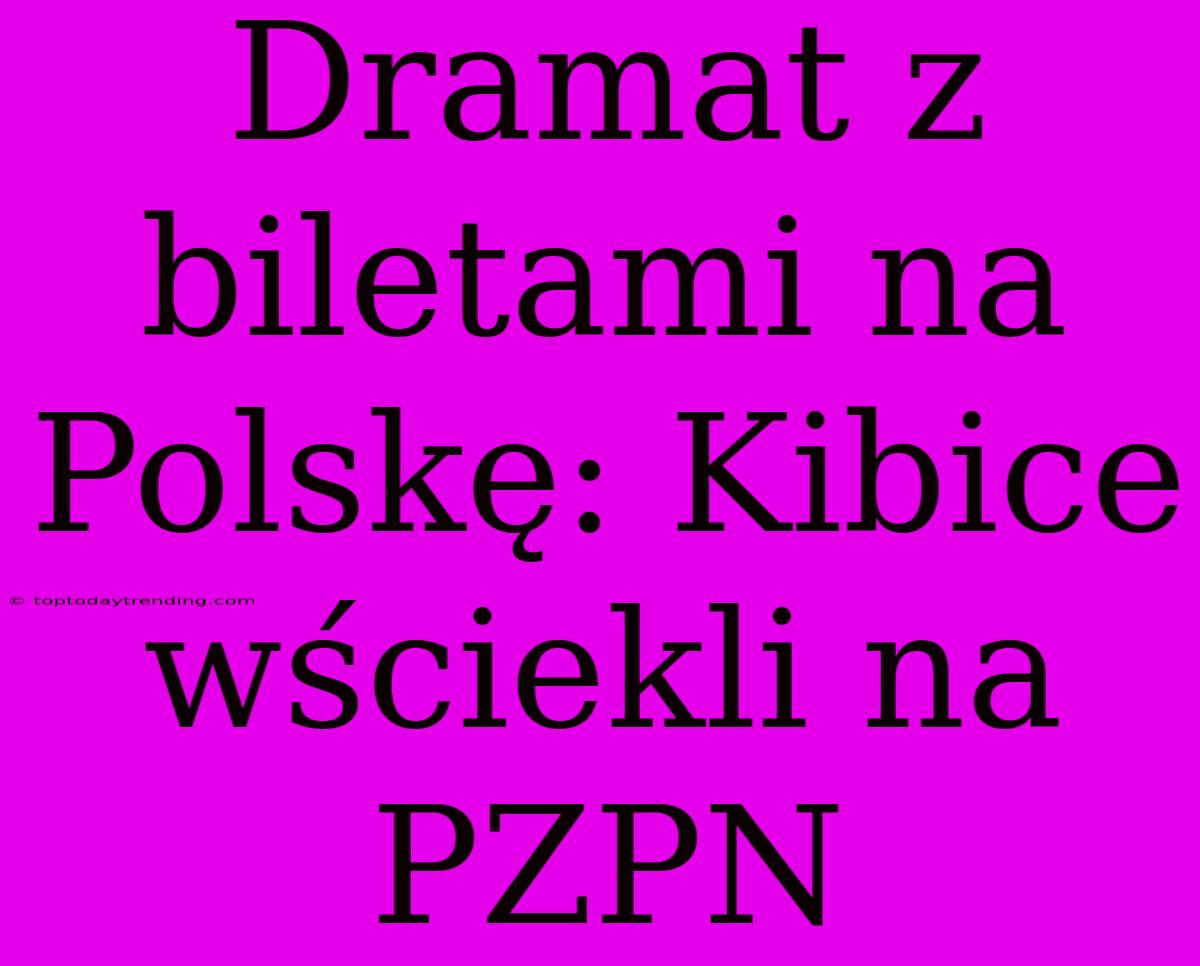 Dramat Z Biletami Na Polskę: Kibice Wściekli Na PZPN