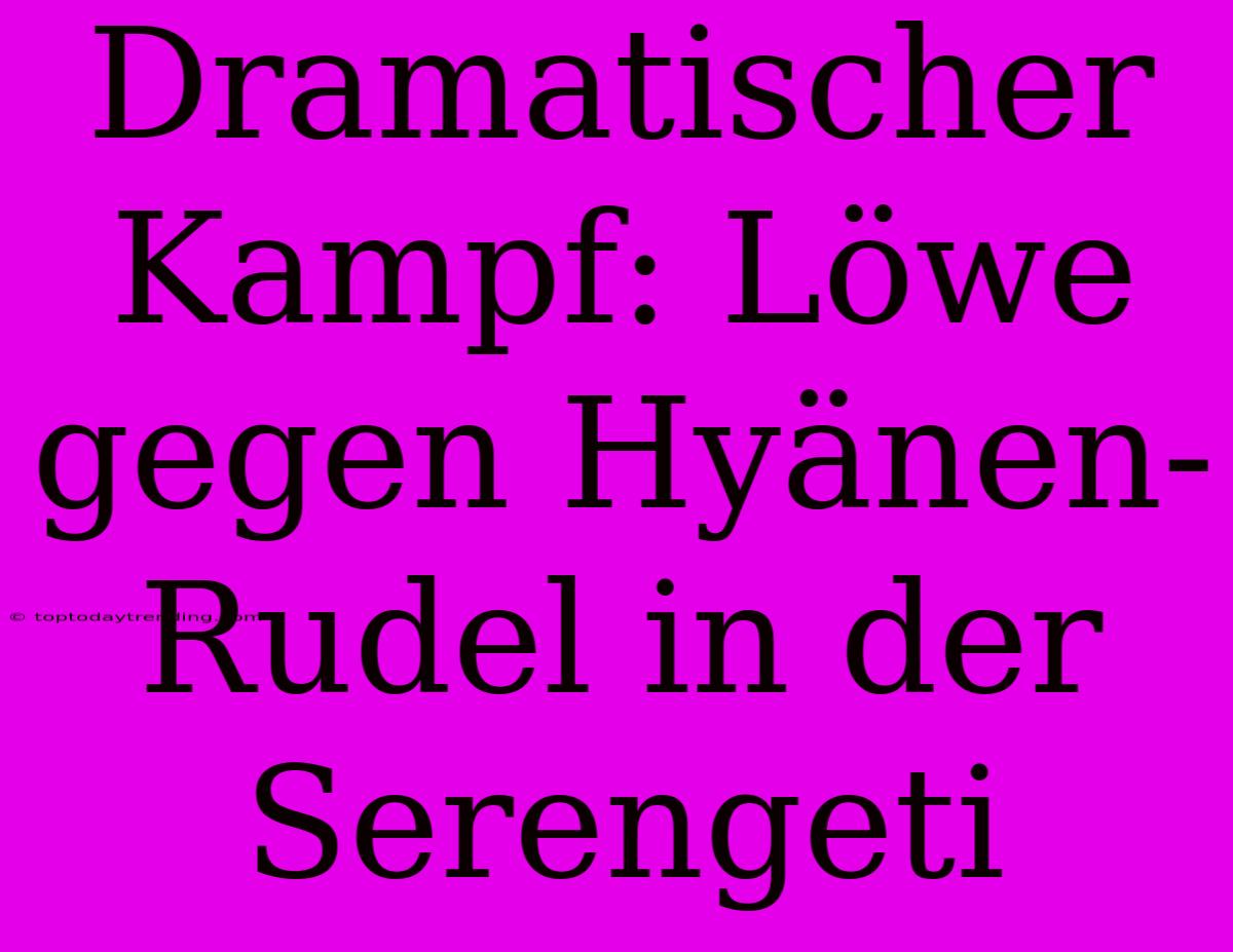 Dramatischer Kampf: Löwe Gegen Hyänen-Rudel In Der Serengeti