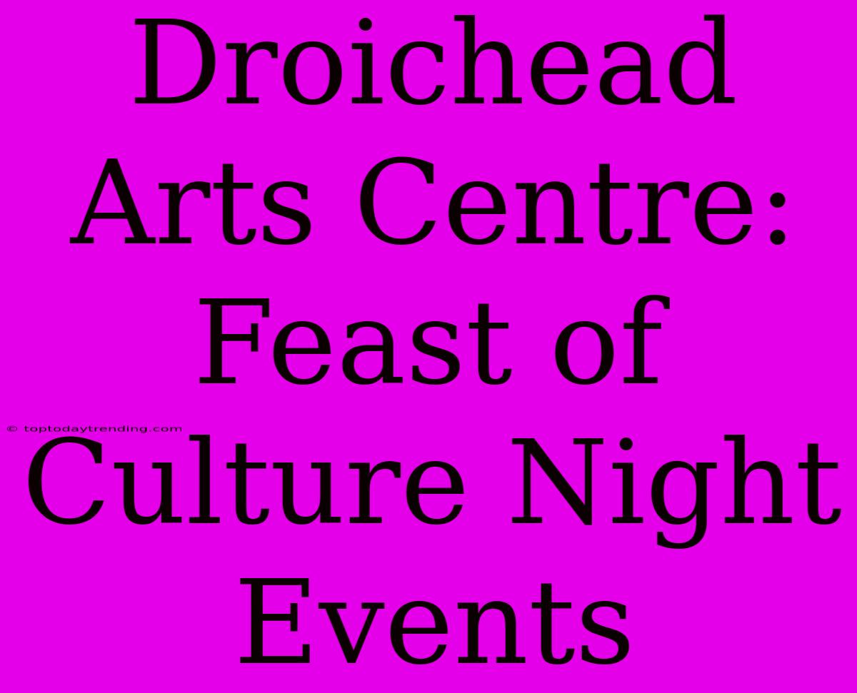 Droichead Arts Centre: Feast Of Culture Night Events