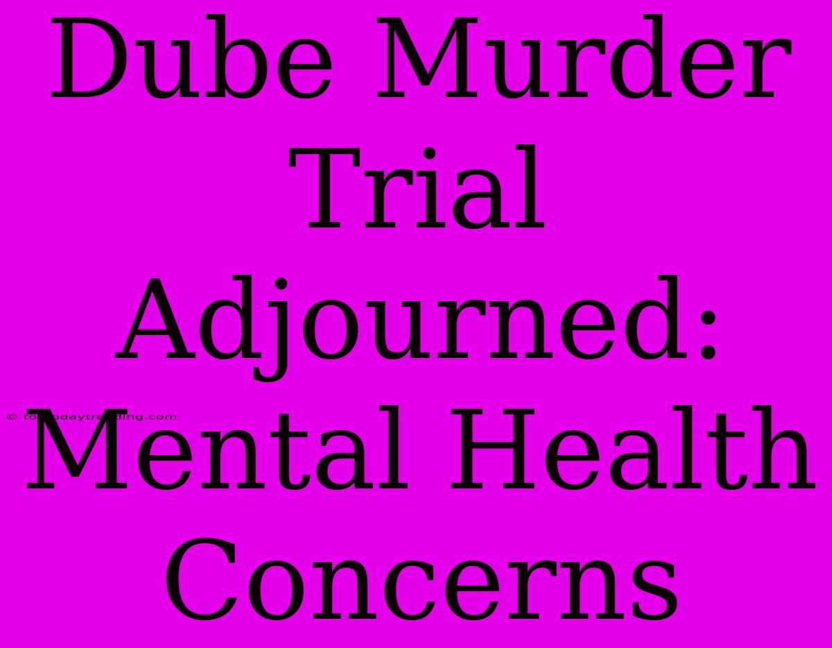 Dube Murder Trial Adjourned: Mental Health Concerns