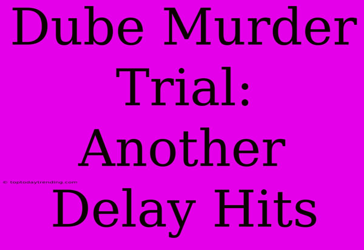 Dube Murder Trial: Another Delay Hits