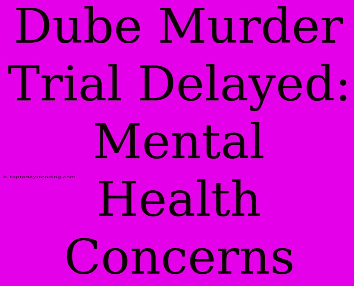 Dube Murder Trial Delayed: Mental Health Concerns