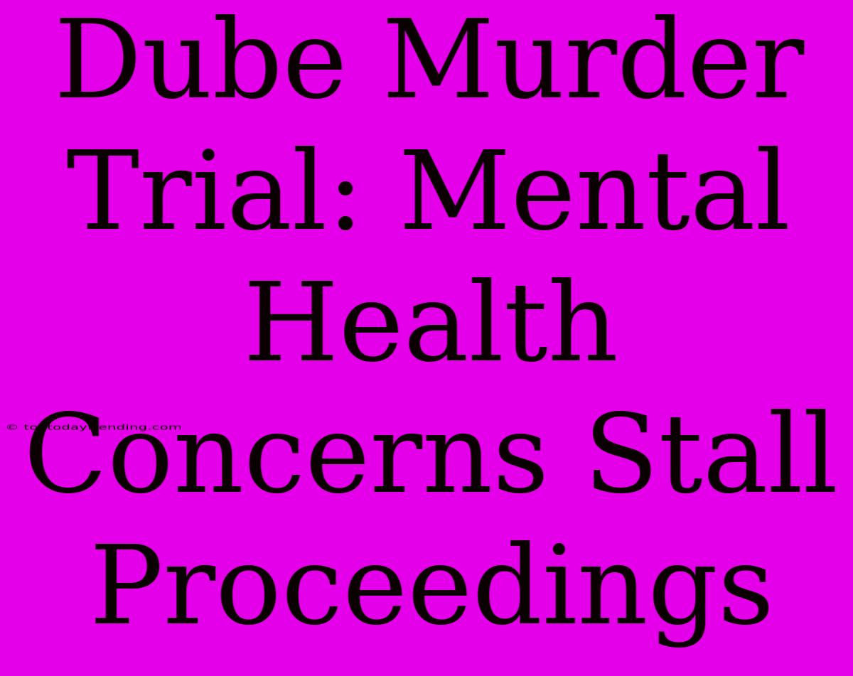 Dube Murder Trial: Mental Health Concerns Stall Proceedings