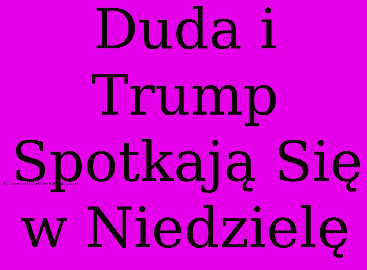 Duda I Trump Spotkają Się W Niedzielę