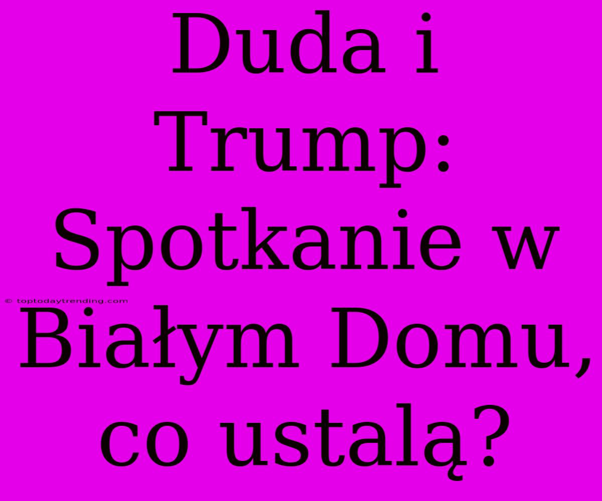 Duda I Trump: Spotkanie W Białym Domu, Co Ustalą?