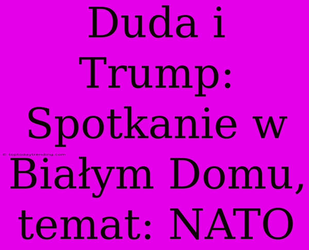 Duda I Trump: Spotkanie W Białym Domu, Temat: NATO