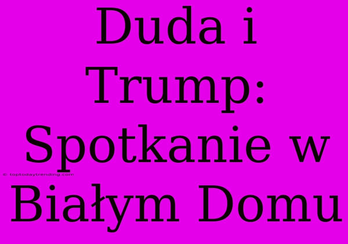 Duda I Trump: Spotkanie W Białym Domu