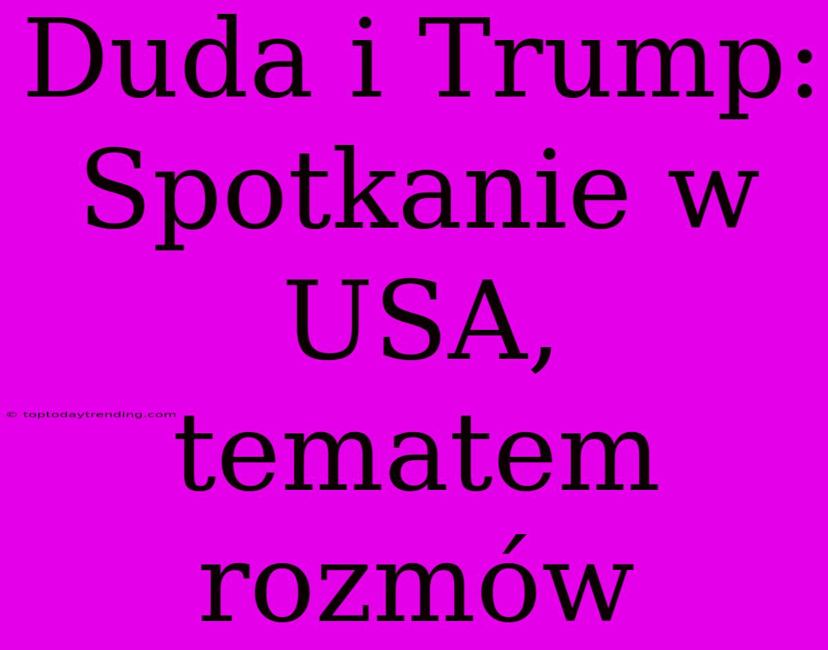 Duda I Trump: Spotkanie W USA, Tematem Rozmów