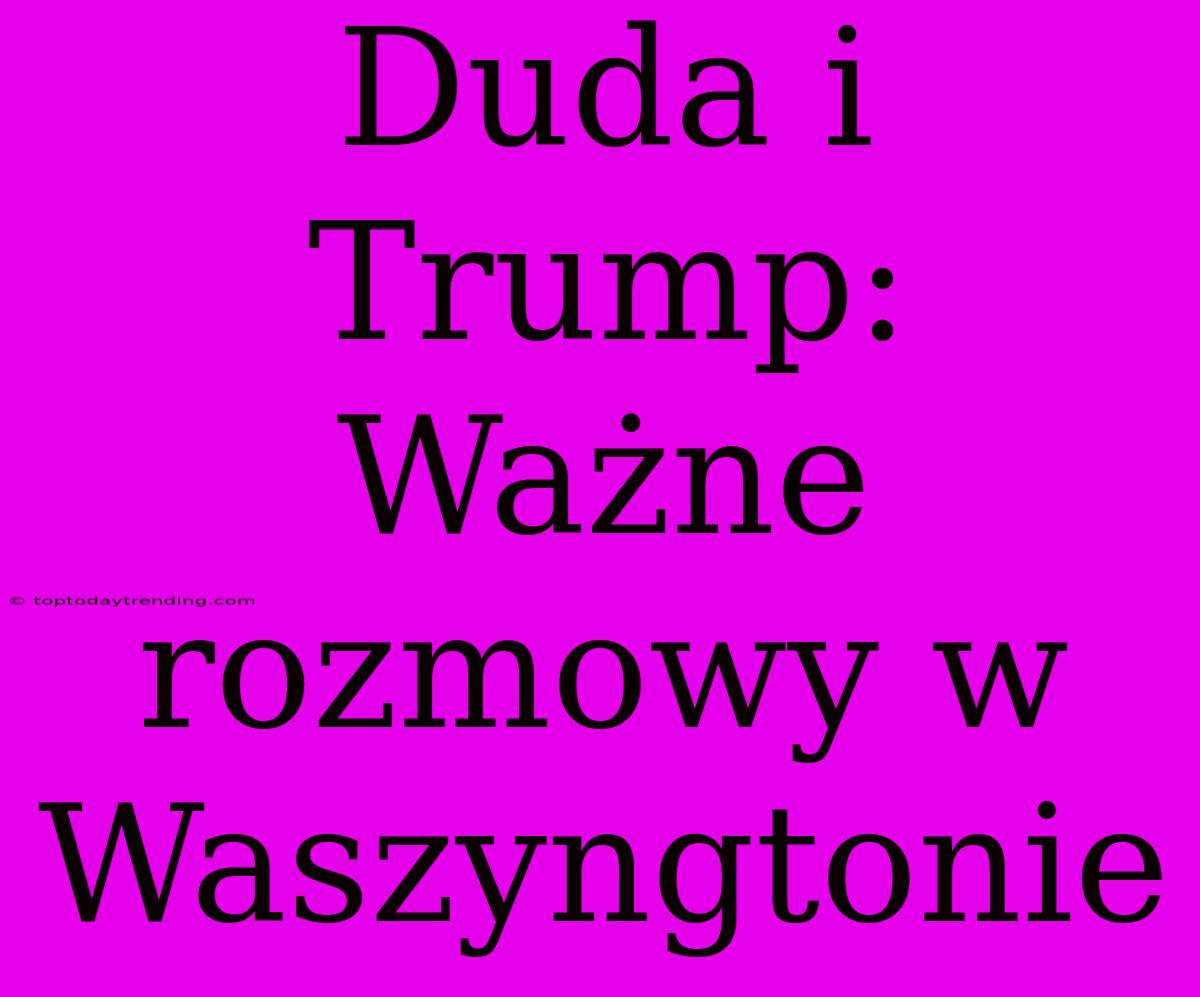 Duda I Trump: Ważne Rozmowy W Waszyngtonie