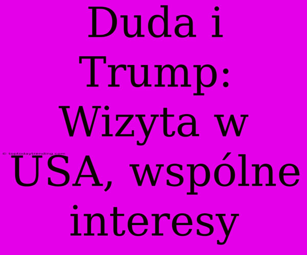 Duda I Trump: Wizyta W USA, Wspólne Interesy