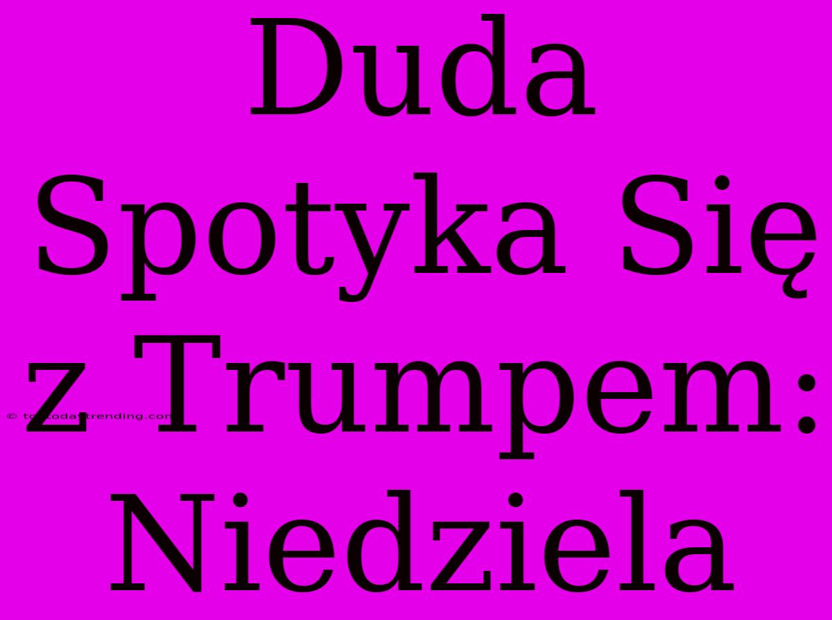 Duda Spotyka Się Z Trumpem: Niedziela