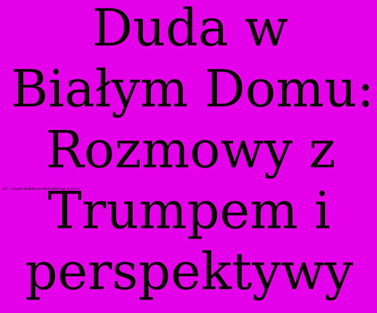 Duda W Białym Domu: Rozmowy Z Trumpem I Perspektywy