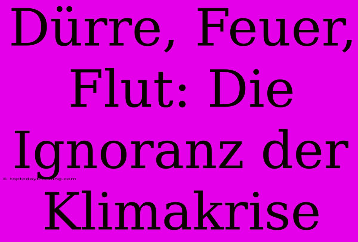 Dürre, Feuer, Flut: Die Ignoranz Der Klimakrise