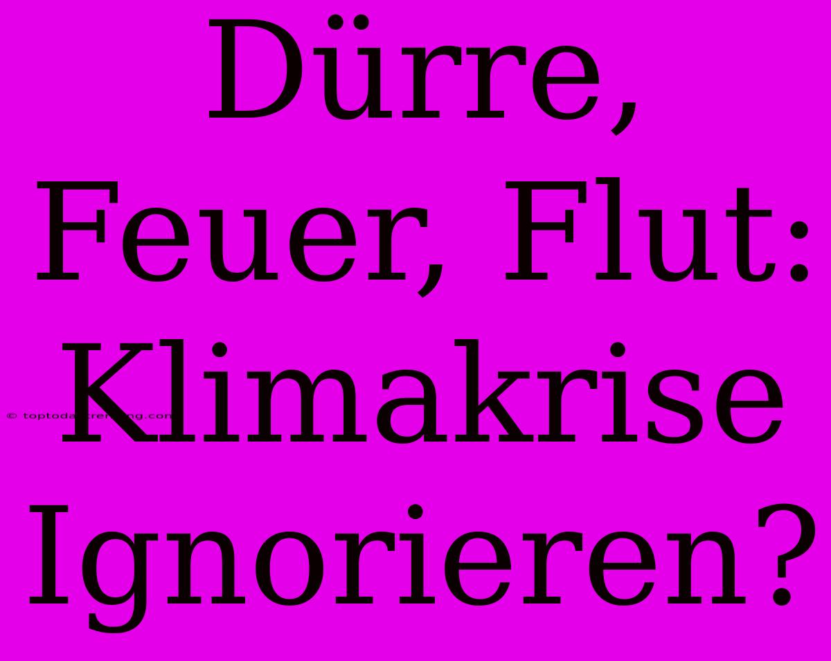 Dürre, Feuer, Flut: Klimakrise Ignorieren?