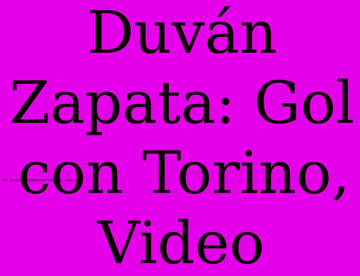 Duván Zapata: Gol Con Torino, Video