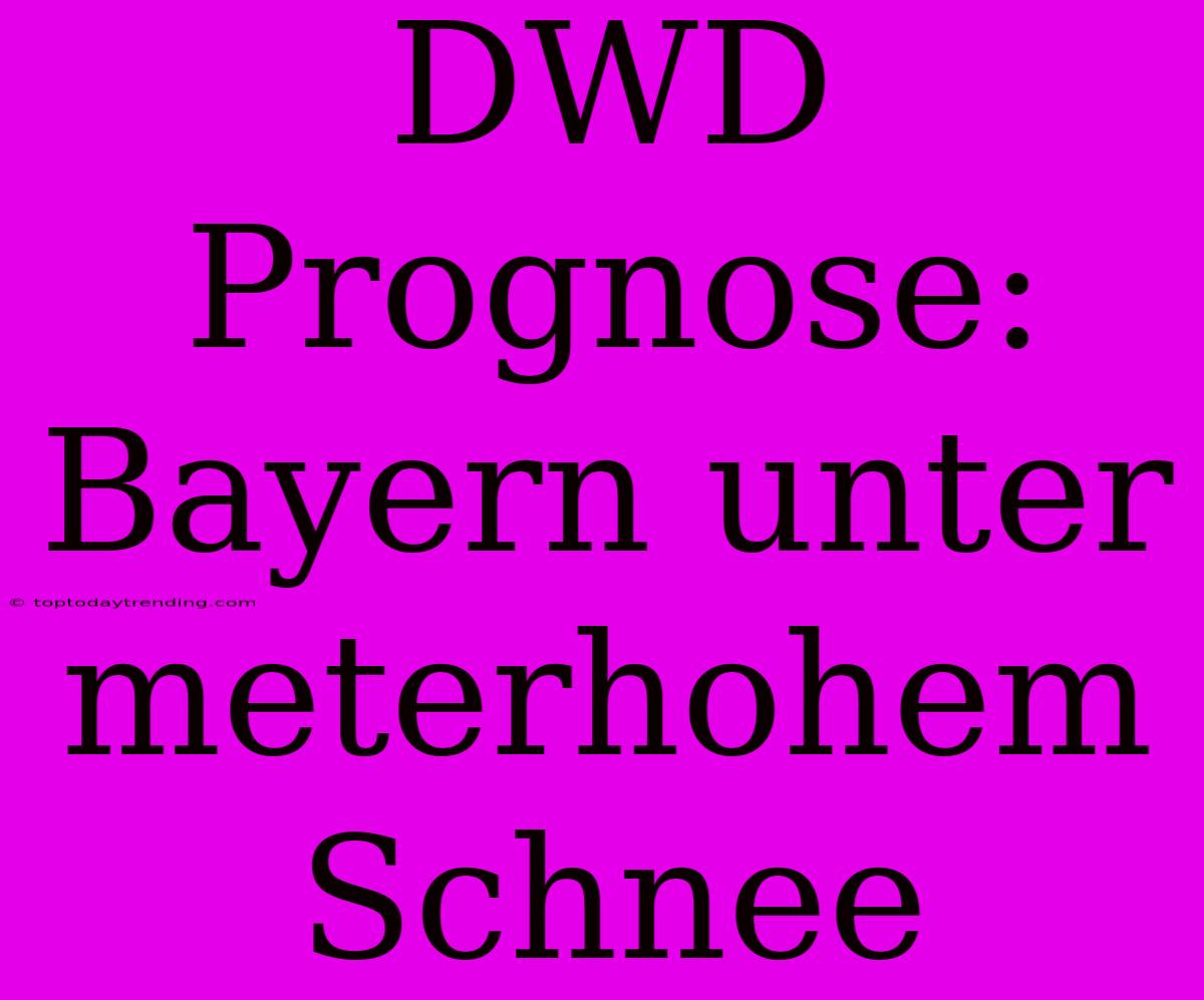 DWD Prognose: Bayern Unter Meterhohem Schnee