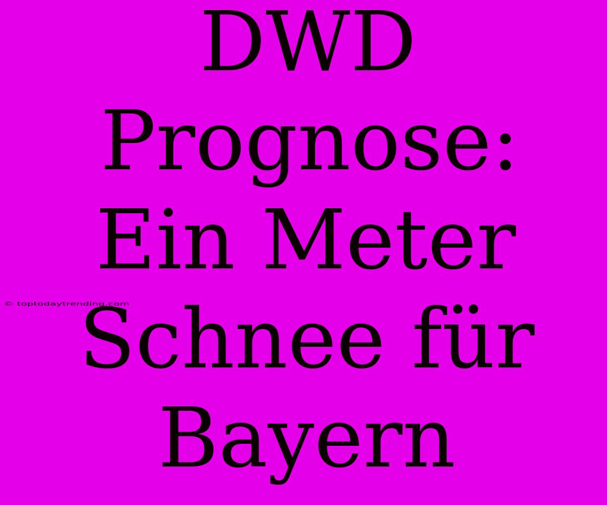 DWD Prognose: Ein Meter Schnee Für Bayern