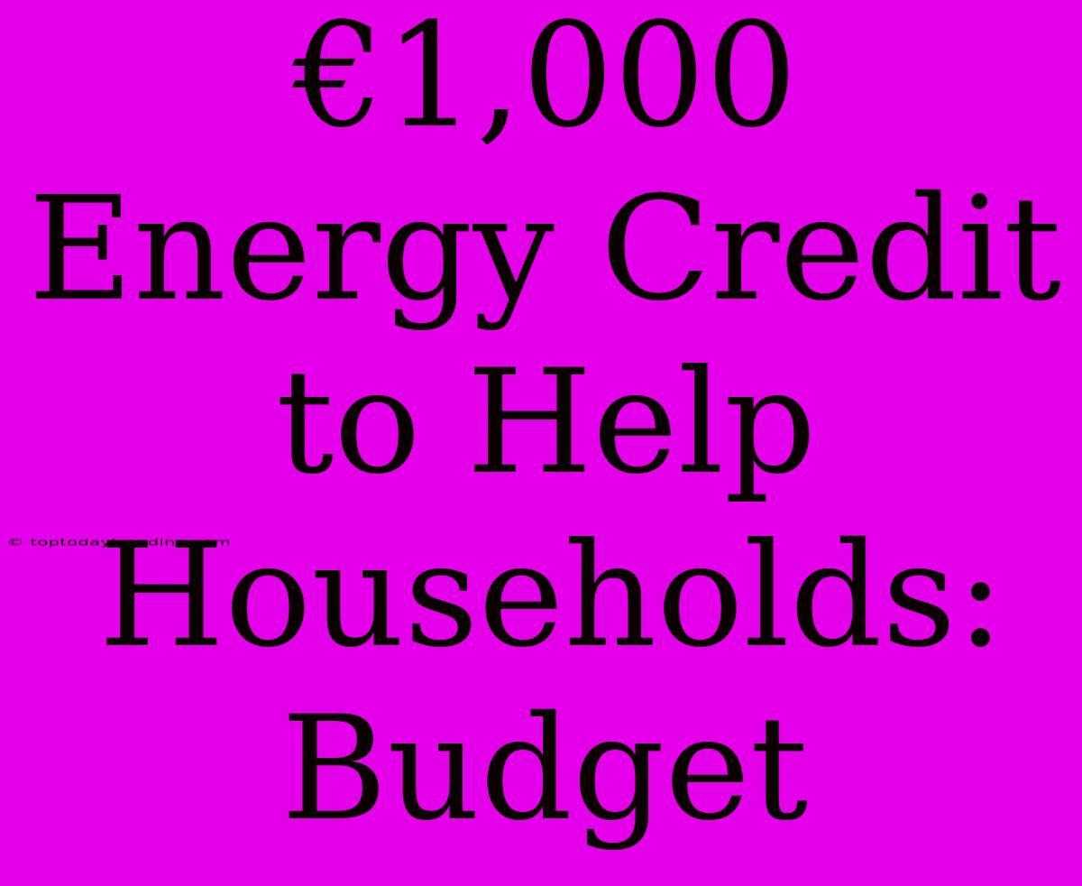 €1,000 Energy Credit To Help Households: Budget