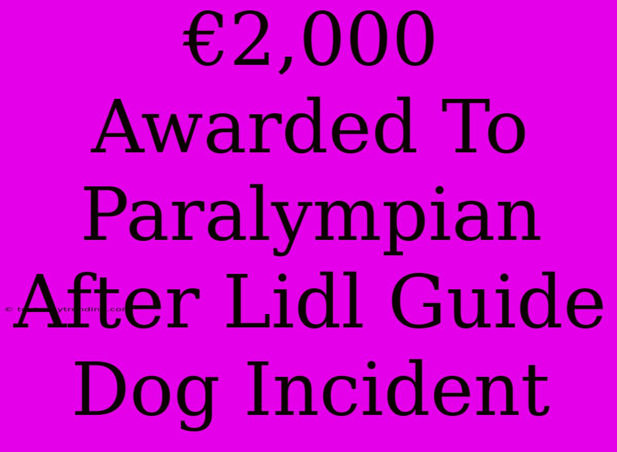 €2,000 Awarded To Paralympian After Lidl Guide Dog Incident