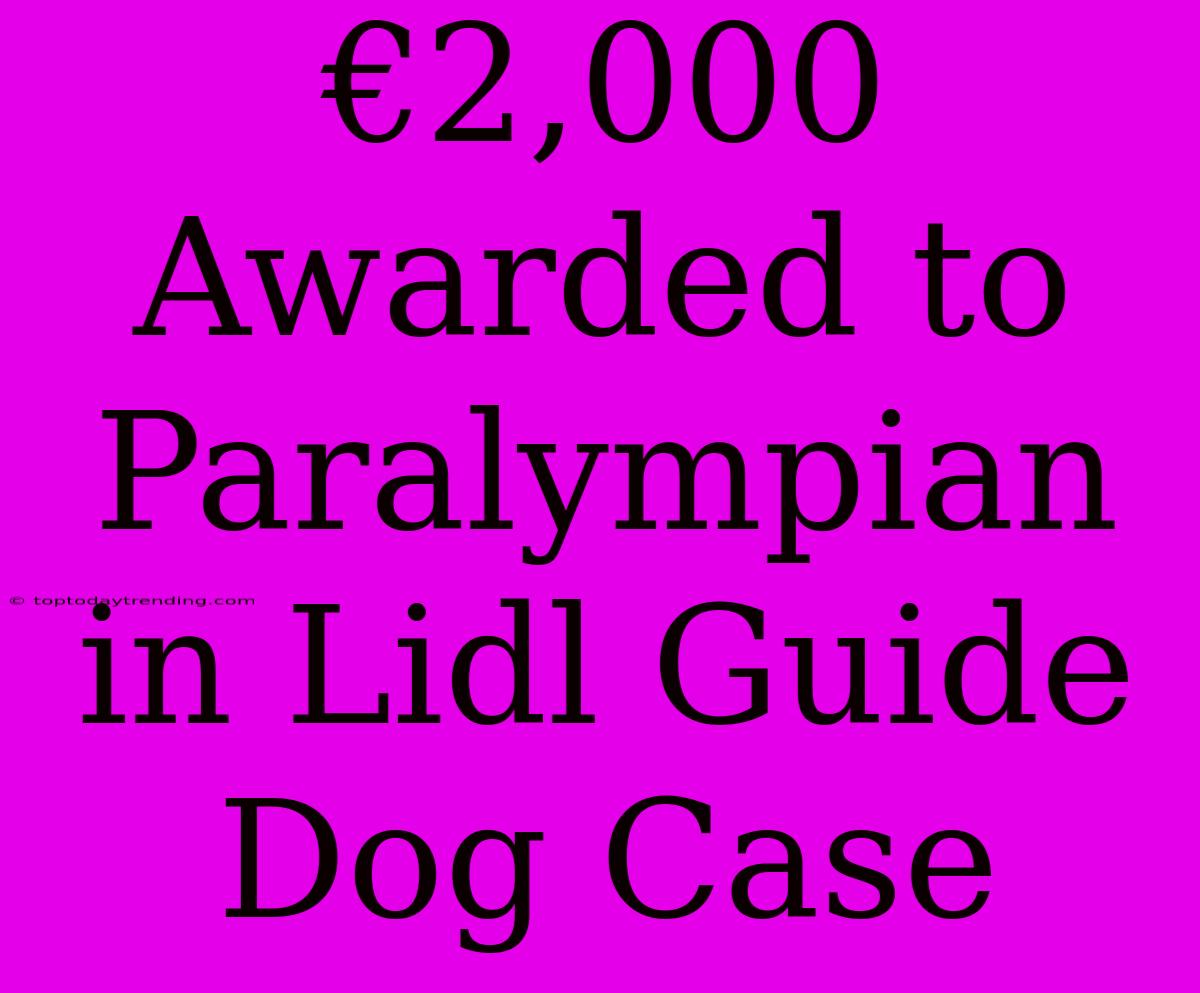 €2,000 Awarded To Paralympian In Lidl Guide Dog Case