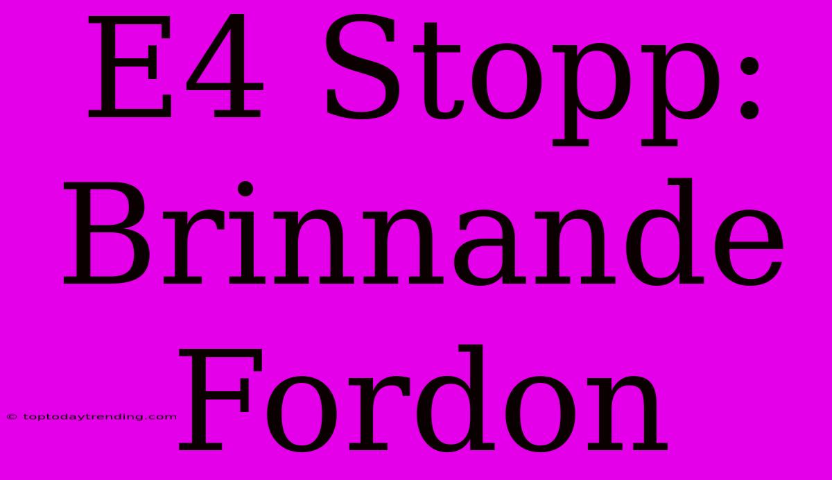 E4 Stopp: Brinnande Fordon