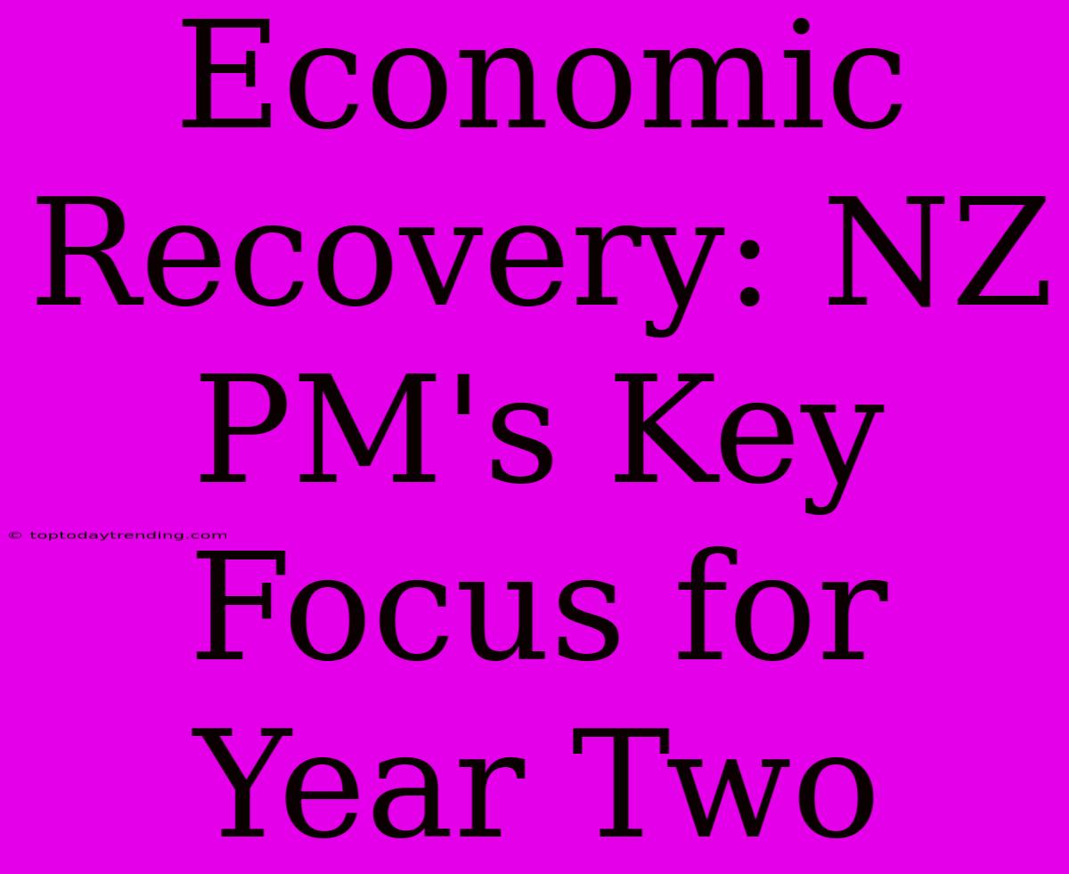 Economic Recovery: NZ PM's Key Focus For Year Two