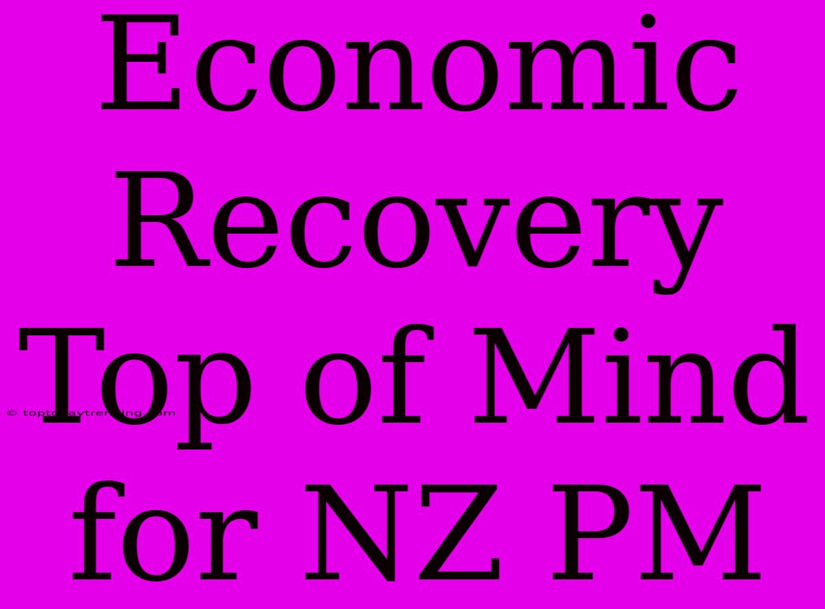 Economic Recovery Top Of Mind For NZ PM