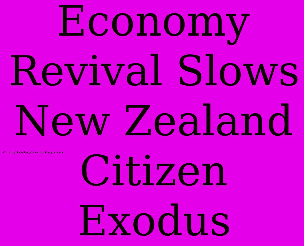 Economy Revival Slows New Zealand Citizen Exodus